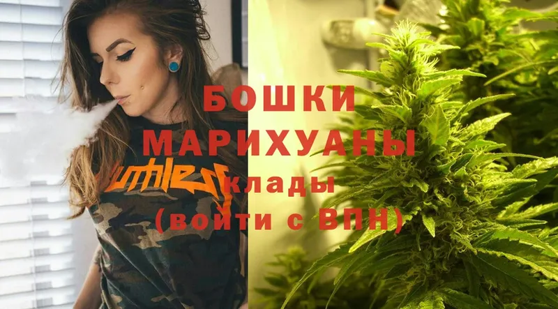 Шишки марихуана Amnesia  Андреаполь 